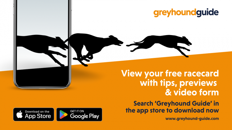 Mobile platform Greyhound Guide advert